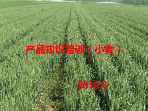 产品知识培训教材