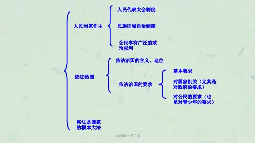 九年级政治复习课课件