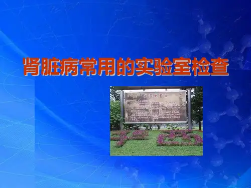 肾脏病常用实验室检查