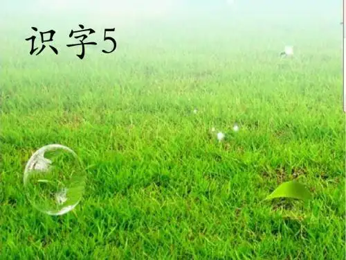 苏教版语文一年级上册识字5ppt课件