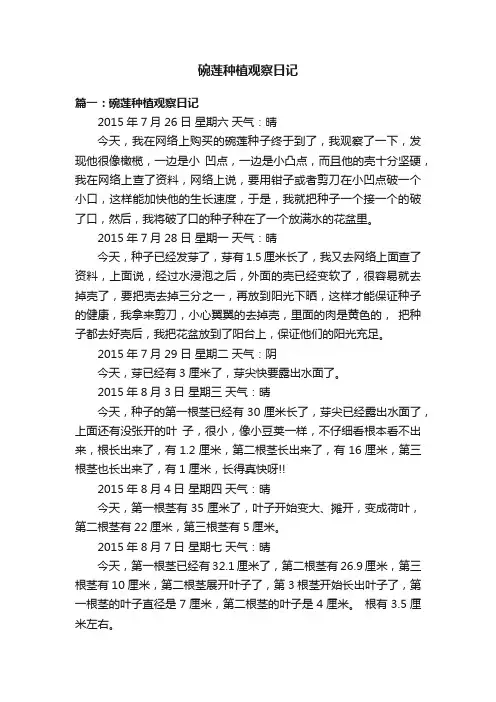 碗莲种植观察日记