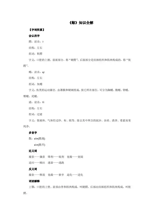 人教部编版小学五年级语文上册《鲸》知识全解