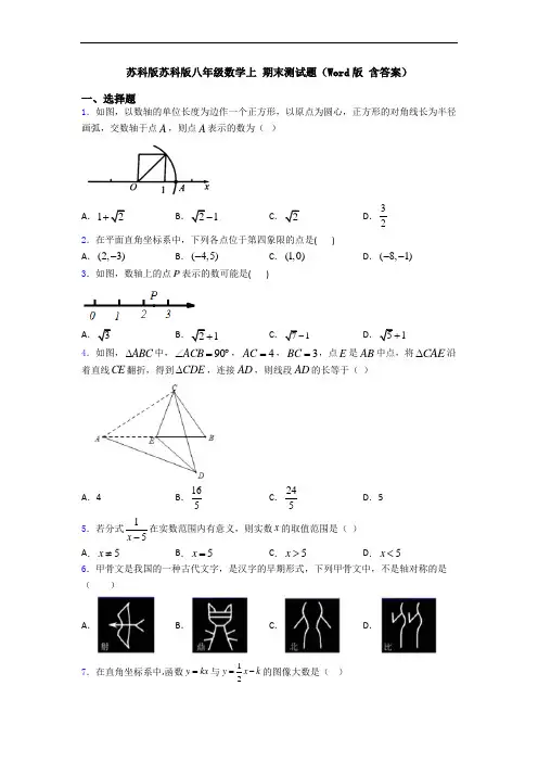苏科版苏科版八年级数学上 期末测试题(Word版 含答案)