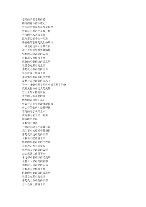 最炫民族风歌词