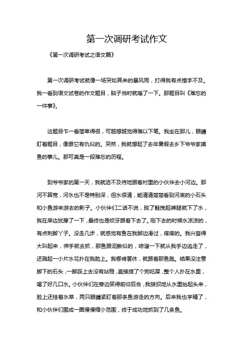 第一次调研考试作文