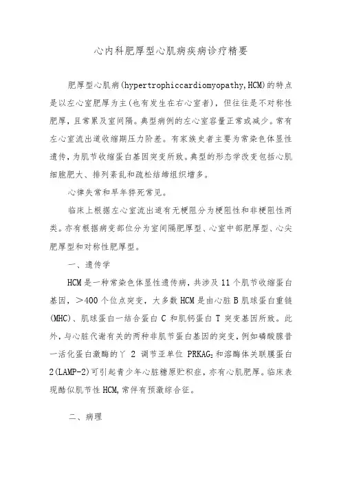 心内科肥厚型心肌病疾病诊疗精要