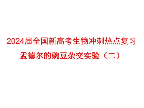 2024届全国新高考生物冲刺热点复习 孟德尔的豌豆杂交实验(二)