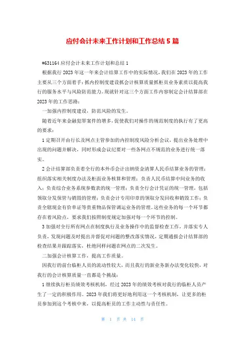 应付会计未来工作计划和工作总结5篇