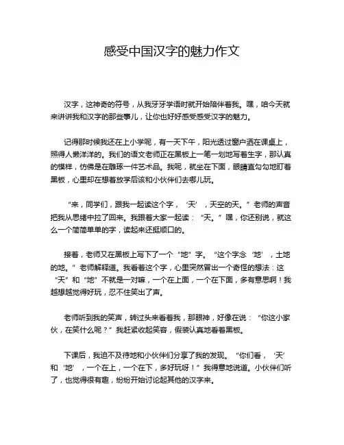 感受中国汉字的魅力作文