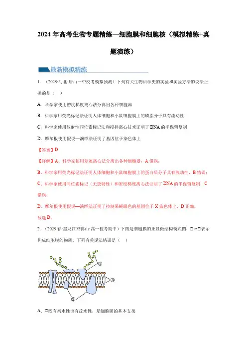 2024年高考生物专题精练—细胞膜和细胞核(模拟精练+真题演练)