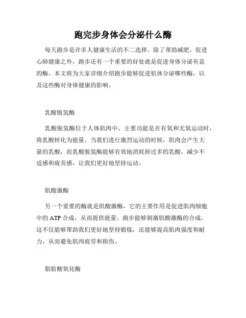 跑完步身体会分泌什么酶