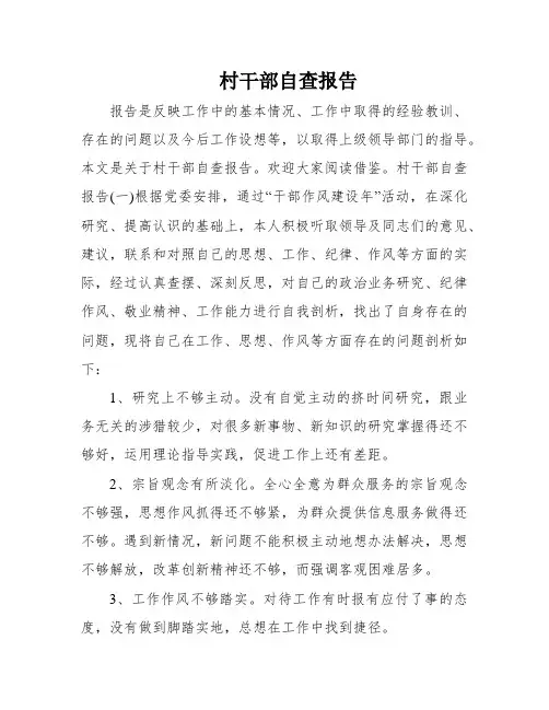 村干部自查报告