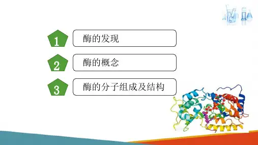 生物大分子的结构与功能—酶(生物化学课件)