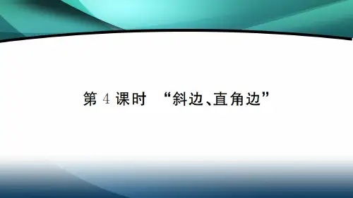 2020年八年级数学上册第十二章12.2 第4课时 “斜边、直角边”