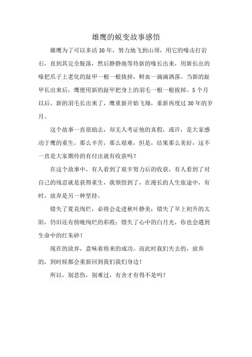 雄鹰的蜕变故事感悟