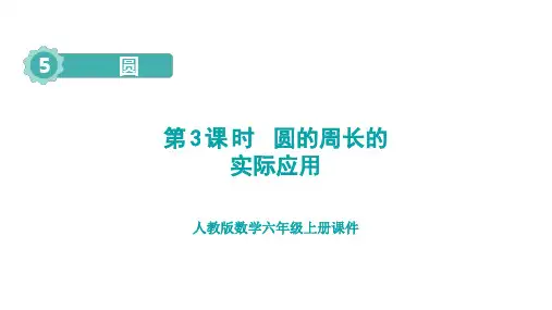 人教版六年级数学上册第5单元 圆第3课时  圆的周长的实际应用