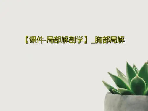 【课件-局部解剖学】_胸部局解96页PPT