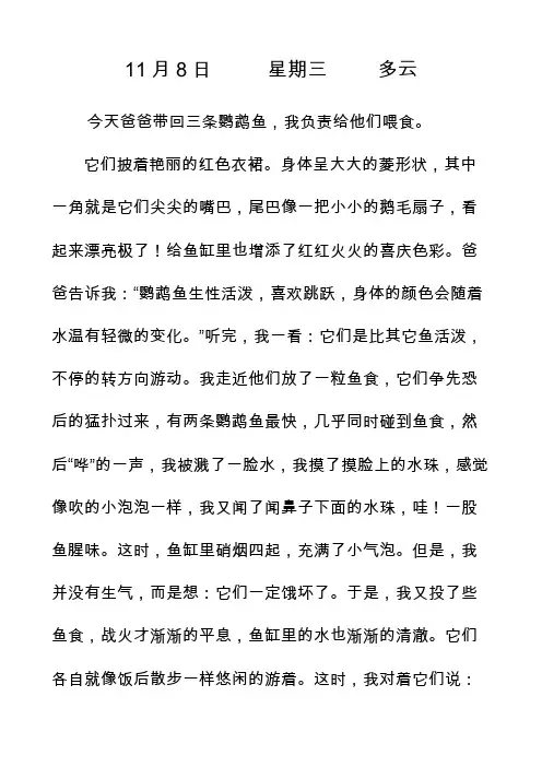 《观察日记》--鹦鹉鱼171108