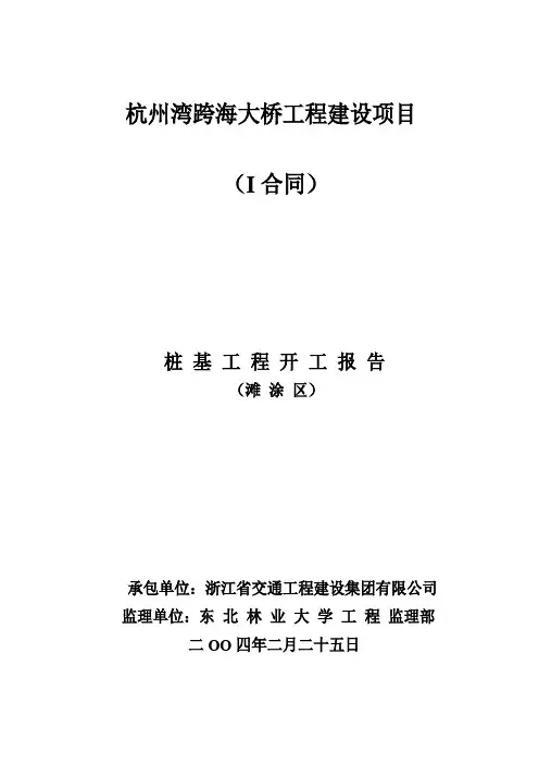 项目开工情况说明