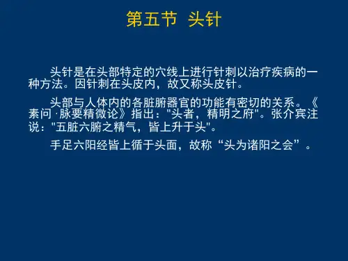 中医药-针灸-头针