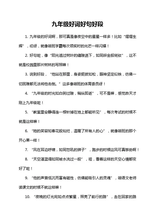 九年级好词好句好段