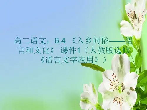 人教版高中语文选修四6.4入乡问俗——语言和文化1语言文字应用课件
