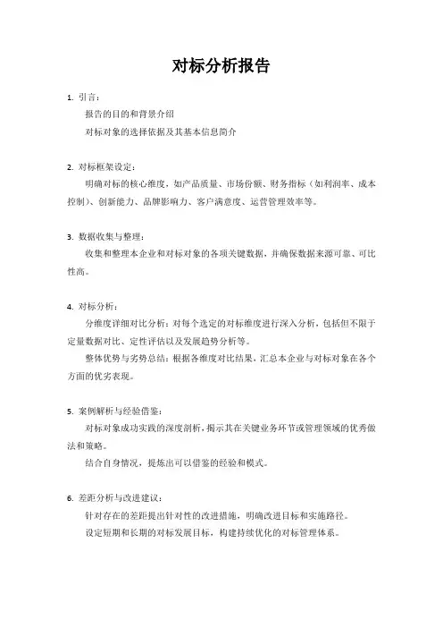 对标分析报告