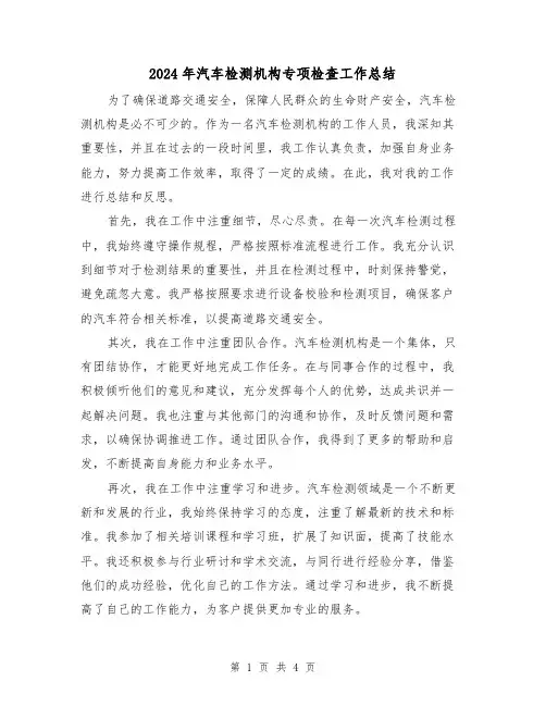2024年汽车检测机构专项检查工作总结(二篇)