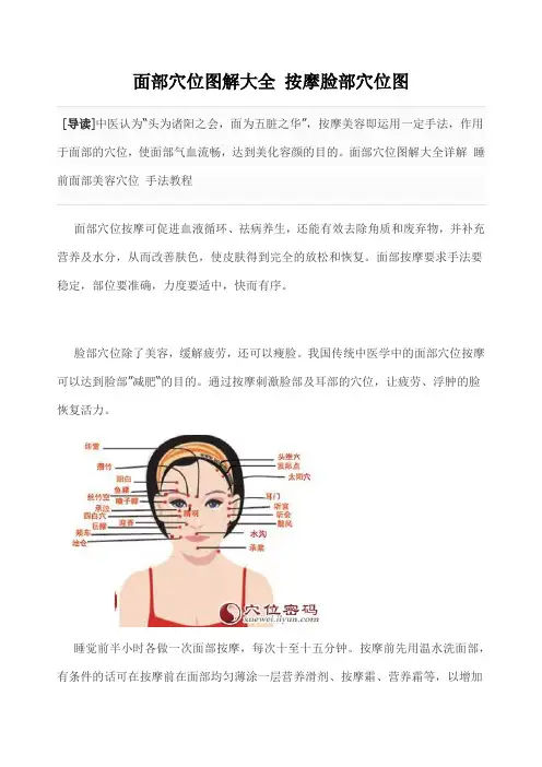 面部穴位