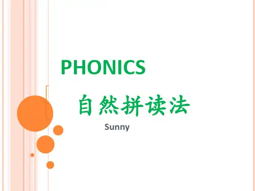 Phonics 自然拼读常识 元音(课件)通用版小学英语