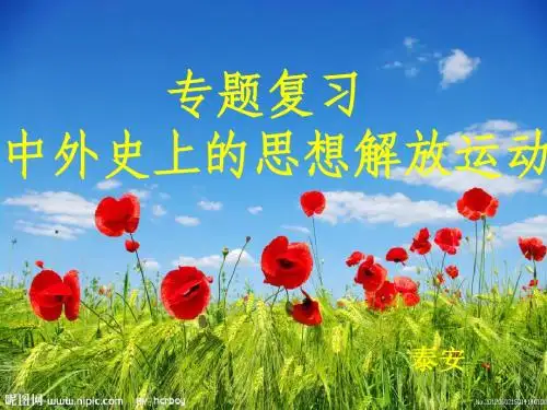 中外思想解放运动复习课正式讲稿