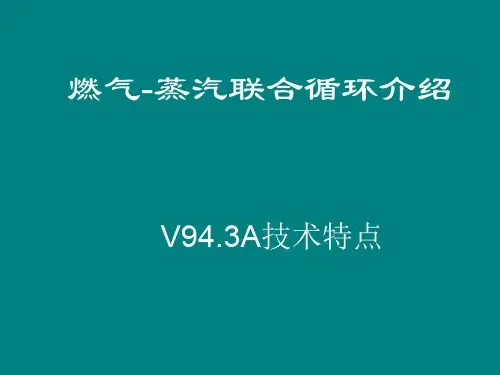 天然气发电厂 燃气-蒸汽联合循环发电机组