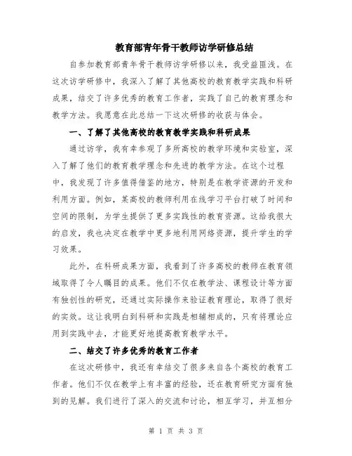 教育部青年骨干教师访学研修总结