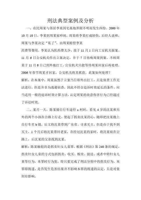 刑法典型案例及分析