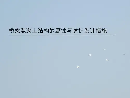 桥梁混凝土结构腐蚀与防护设计措施