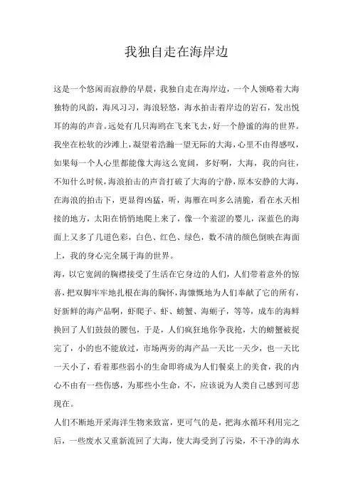 初一话题我独自走在海岸边