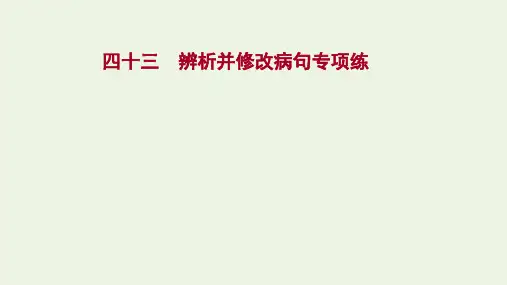 高考语文一轮复习专题集训四十三辨析并修改专项练课件(40张PPT)