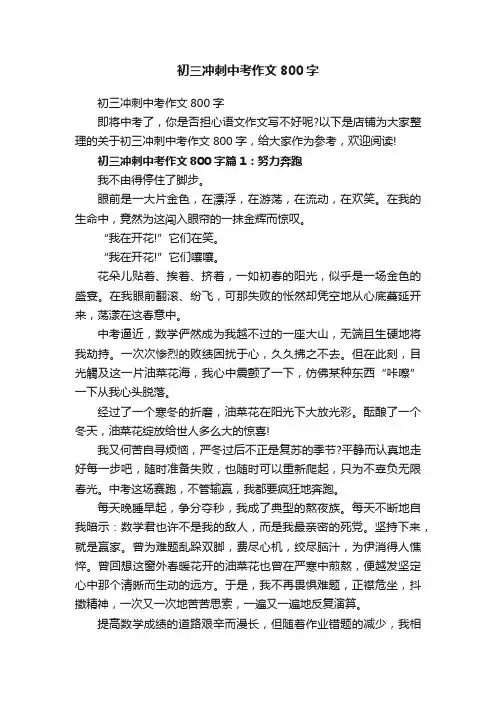 初三冲刺中考作文800字