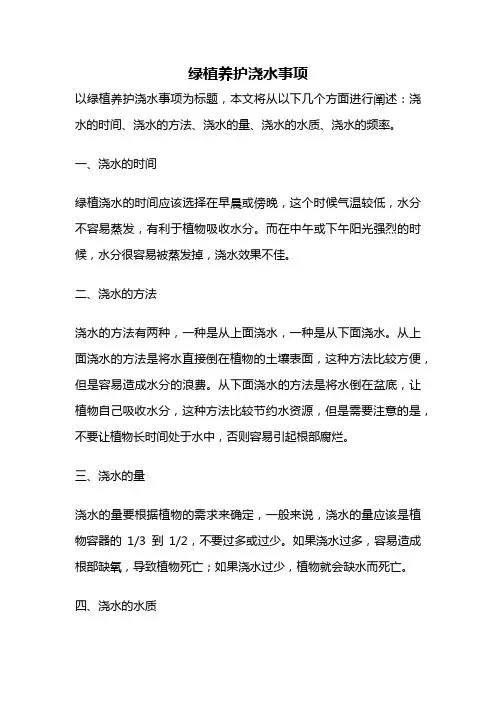 绿植养护浇水事项