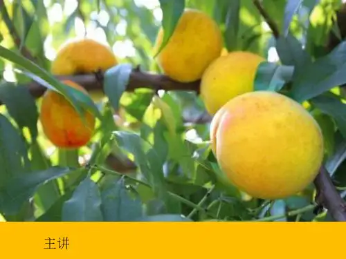 综合实践活动课《家乡特产的调查与推介》优质课件