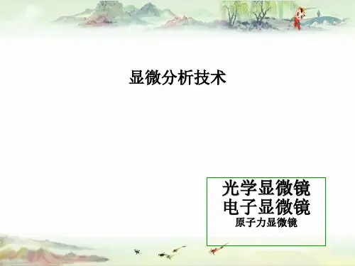 聚合物表征与测试