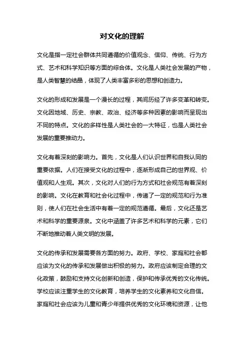 对文化的理解