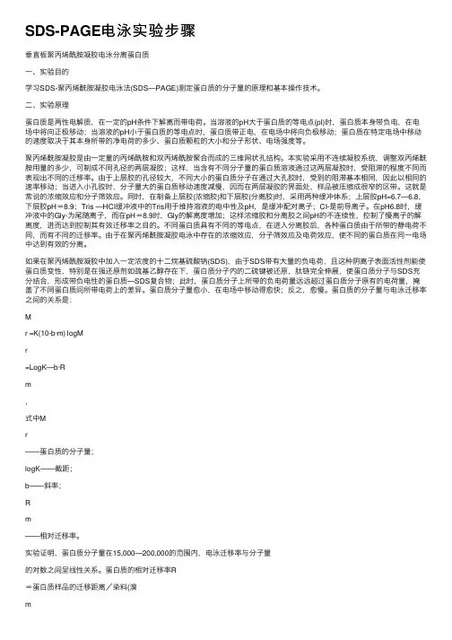 SDS-PAGE电泳实验步骤