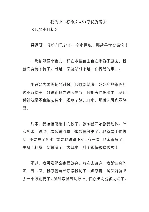 我的小目标作文450字优秀范文