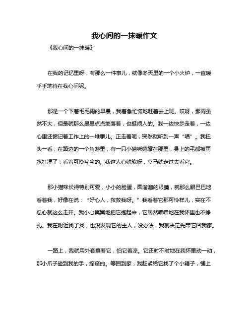 我心间的一抹暖作文