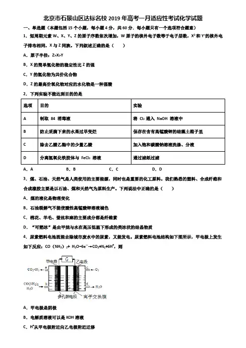 北京市石景山区达标名校2019年高考一月适应性考试化学试题含解析