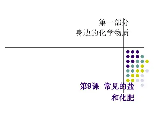 中考化学-化学宝典09第9课  常见的盐和化肥