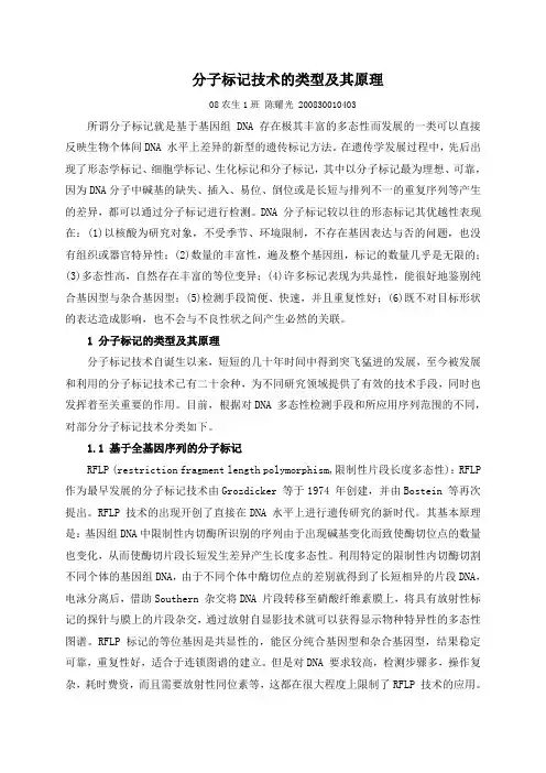 分子标记技术的类型及其原理