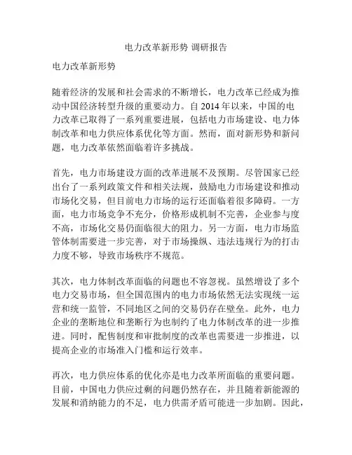 电力改革新形势 调研报告