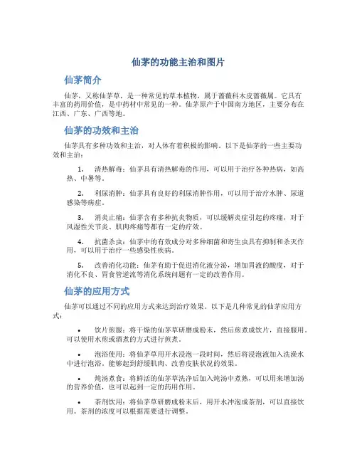 仙茅的功能主治和图片